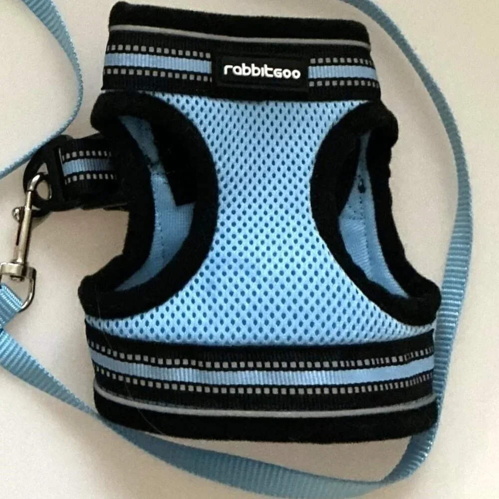 CAT HARNESS AND LEASH SET ADJUSTABLE BLUE MEDIUM